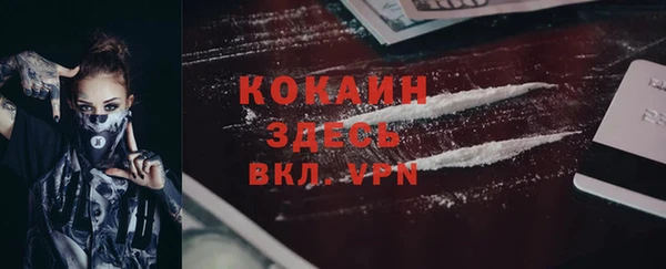 дмт Богородск