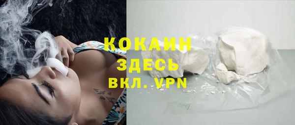 дмт Богородск