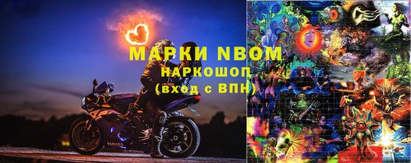 первитин Богданович