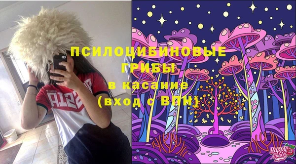 дмт Богородск
