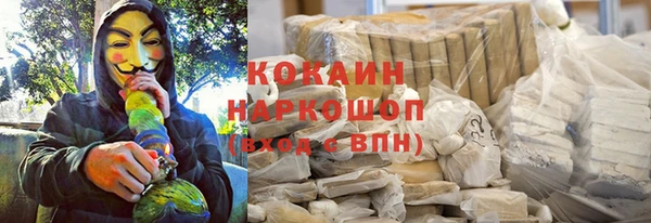 дмт Богородск