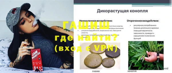 первитин Богданович