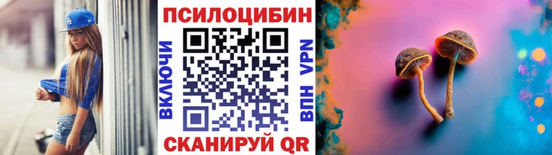 где можно купить наркотик  Мезень  Псилоцибиновые грибы ЛСД 